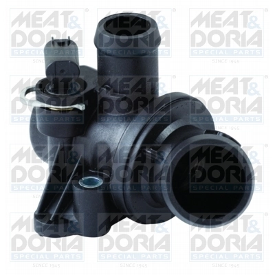 Thermostat, coolant